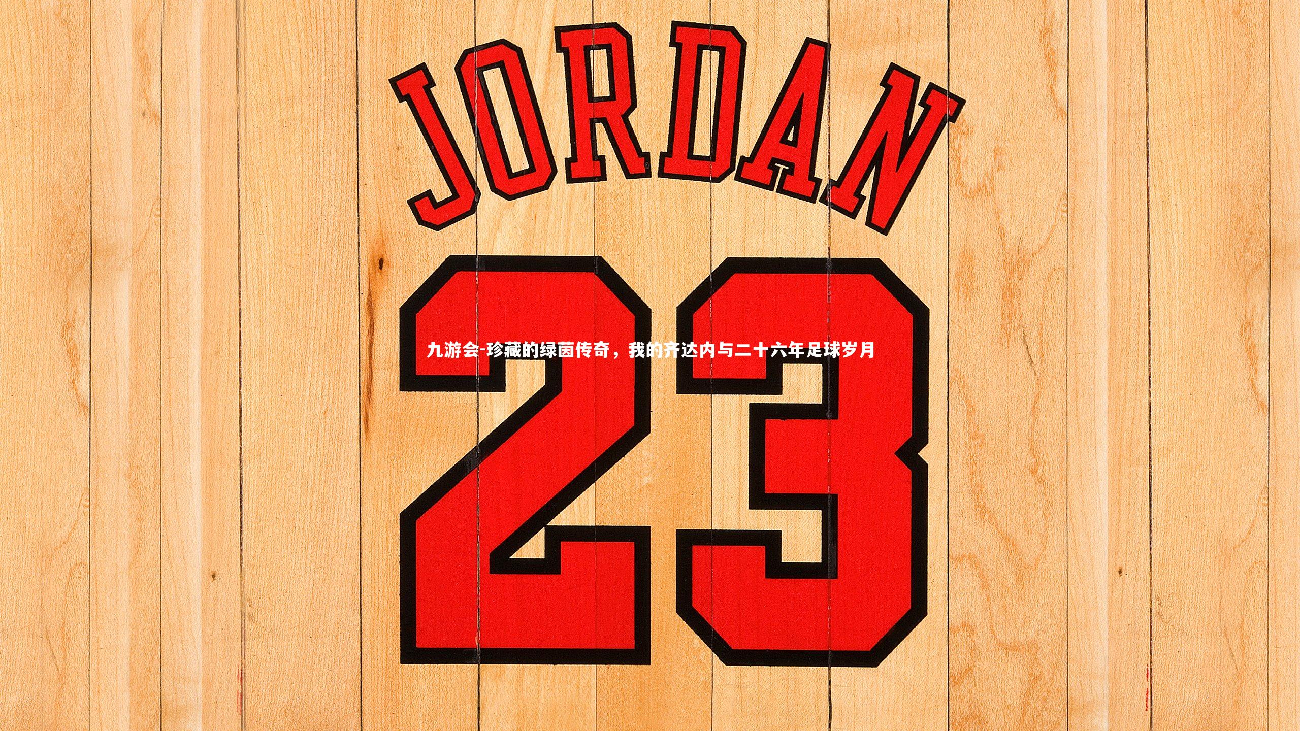 珍藏的绿茵传奇，我的齐达内与二十六年足球岁月